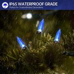 TCamp 33FT Blue Music-Synced LED Christmas Lights