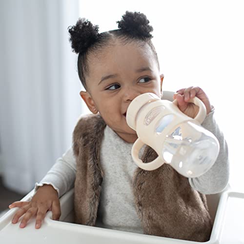 Dr. Brown's Silicone Handles Sippy Bottle, 9oz/270mL, 2-Pack