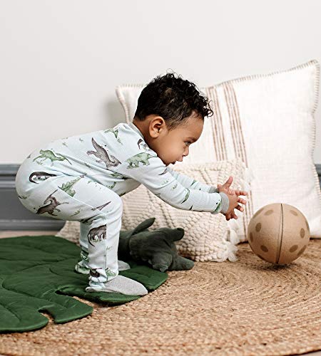 Burt's Bees Baby Boys Organic Sleepers, Happy Herbivores