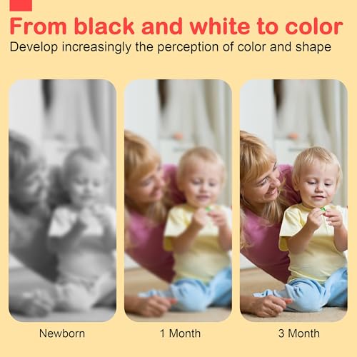 Black and White Baby Toy Set for Brain Development