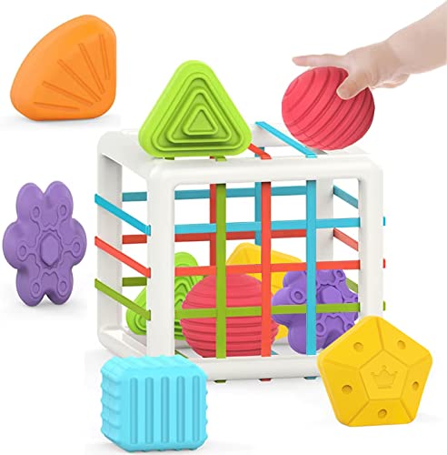 Montessori Developmental Toy Set for 1-Year-Olds
