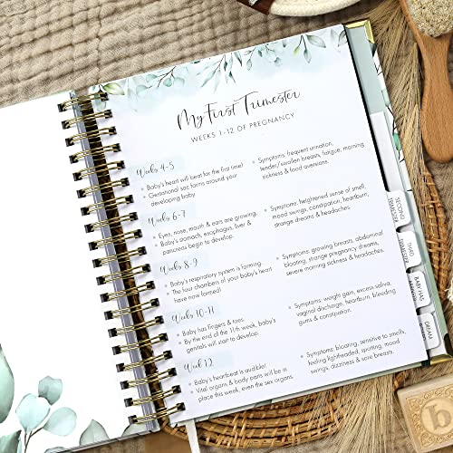 Charming Pregnancy Journal & Memory Book for First-Time Moms