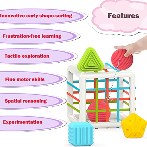 Montessori Developmental Toy Set for 1-Year-Olds
