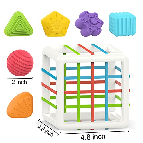 Montessori Developmental Toy Set for 1-Year-Olds