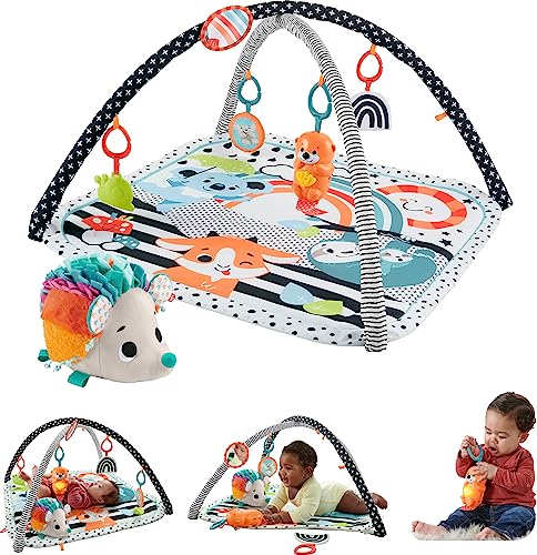 Fisher-Price 3-in-1 Music Gym & Hedgehog Plush