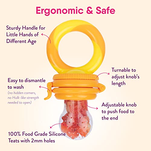 NatureBond Baby Food Feeder (2 Pack) - Teething Toy