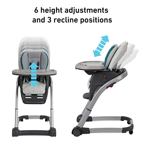 Convertible High Chair for Babies, Graco Blossom