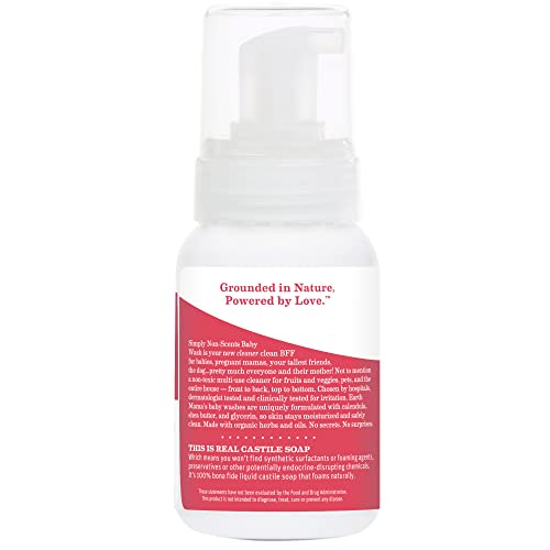 Organic Non-Scents Foaming Hand Soap for Sensitive Skin