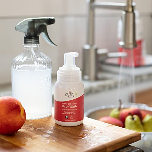 Organic Non-Scents Foaming Hand Soap for Sensitive Skin