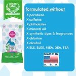 Dapple Baby Breast Pump Wipes, 25 Count Pack