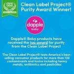 Dapple Baby Breast Pump Wipes, 25 Count Pack