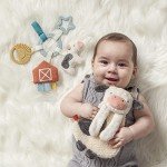 Itzy Ritzy Farm Toy Gift Set for Babies