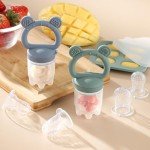2 Pack Silicone Baby Fruit Feeders with Popsicle Molds