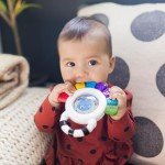 Baby Einstein Opus the Octopus Rattle & Teether Toy