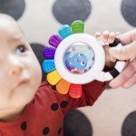 Baby Einstein Opus the Octopus Rattle & Teether Toy