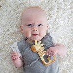 Dr. Brown's Giraffe Baby Massaging Teether, BPA Free