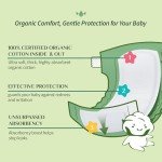 Organic Cotton Baby Diaper Liners - 20 Count
