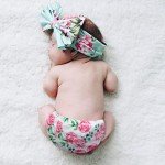 Wegreeco Washable Cloth Diapers 5 Pack - Pink