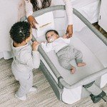 Baby Delight Dreamer Bassinet with Height Adjustment