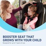 Graco 3-in-1 Harness Booster Car Seat - Black
