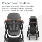 UPPAbaby Vista V3 Full-Size Double Stroller - Greyson