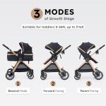 Accombe 2-in-1 Convertible Baby Stroller/Bassinet