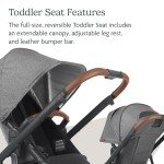 UPPAbaby Vista V2 Stroller and Accessories Bundle
