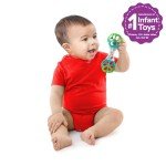Colorful Oball Shaker Rattle for Newborns and Up