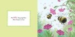 I Love You Like No Otter Board Book