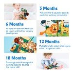 Jungly Tails Touch and Feel Baby Cloth Book