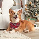 Gerber Toddler Holiday Matching Pajamas, Red Plaid 2T