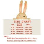 My 1st Easter 3D Bunny Ear Hooded Romper
