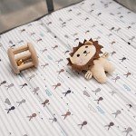 Pamo Babe Portable Playard with Soft Toy Bar