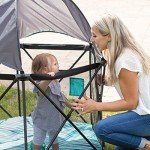 Baby Delight Go With Me Eclipse Playard