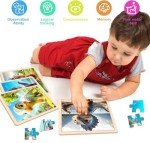 Dinosaur Wooden Puzzles Set for Toddlers