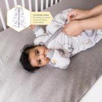 Burt's Bees Baby Organic Cotton Wearable Blanket, Large