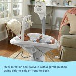 Graco Sway2Me Portable Baby Swing & Bouncer Seat
