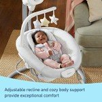 Graco Sway2Me Portable Baby Swing & Bouncer Seat