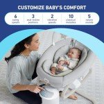 Graco Soothe My Way Baby Swing and Rocker