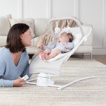 Alpine Wave Deluxe Infant Swing in Driftwood Grey
