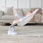 Alpine Wave Deluxe Infant Swing in Driftwood Grey
