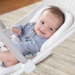 Alpine Wave Deluxe Infant Swing in Driftwood Grey