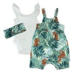 HonestBaby Organic Cotton Short Romper & Dress Set