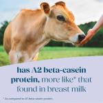 Similac Organic A2 Milk Infant Formula, 20.6 oz