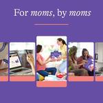 Ultimate Breastfeeding Kit: Nipple Cream, Nursing Pads, Storage