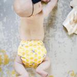 Bee's Knees 4-Pack Cloth Pocket Diapers Set