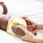 Bee's Knees 4-Pack Cloth Pocket Diapers Set