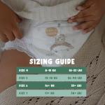 Eco Naty Pull Ups - Hypoallergenic Training Pants