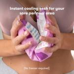 Frida Mom 2-in-1 Absorbent Postpartum Ice Pads