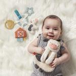 Itzy Ritzy Farm Toy Set with Cow Lovey